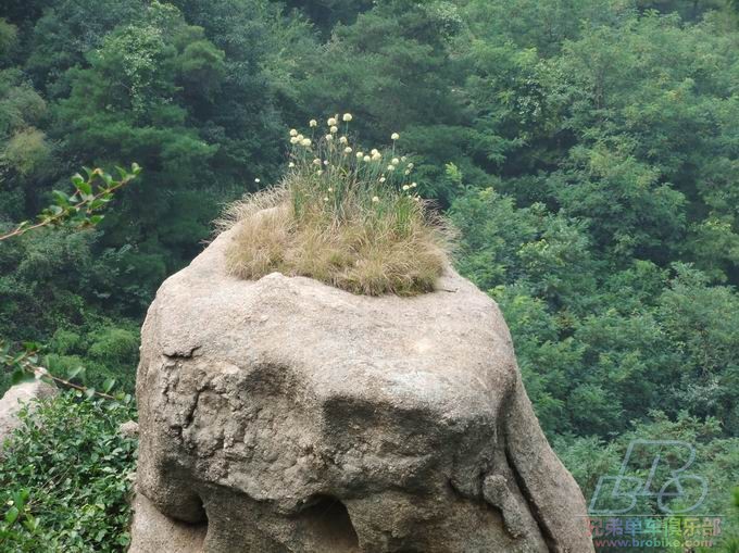 调整大小 20110910-11鲁山沂源行 186.jpg