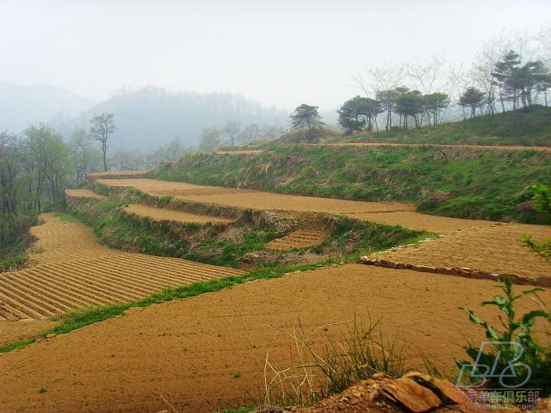 田园小景