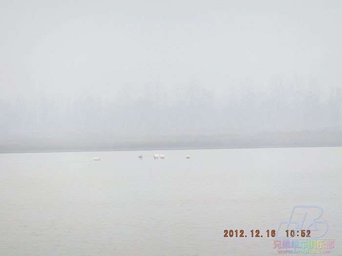nEO_IMG_20121216龙湖 002.jpg