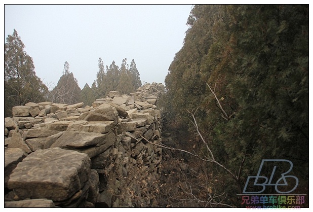 年初三骑行大峰山 (77).jpg