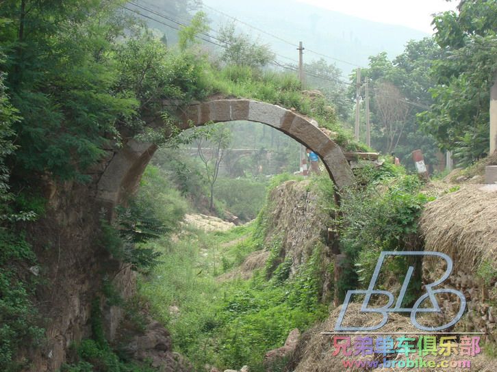 发几张去时在东张村拍的古桥