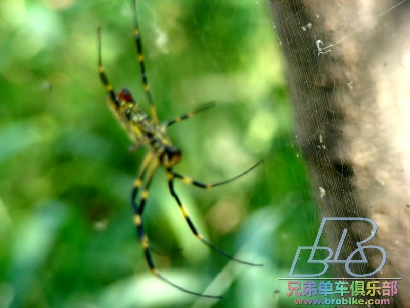 DSC02223_缩小大小.JPG