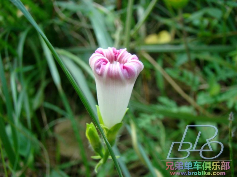 DSC02244_缩小大小.JPG