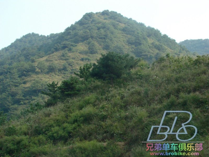 DSC02291_缩小大小.JPG