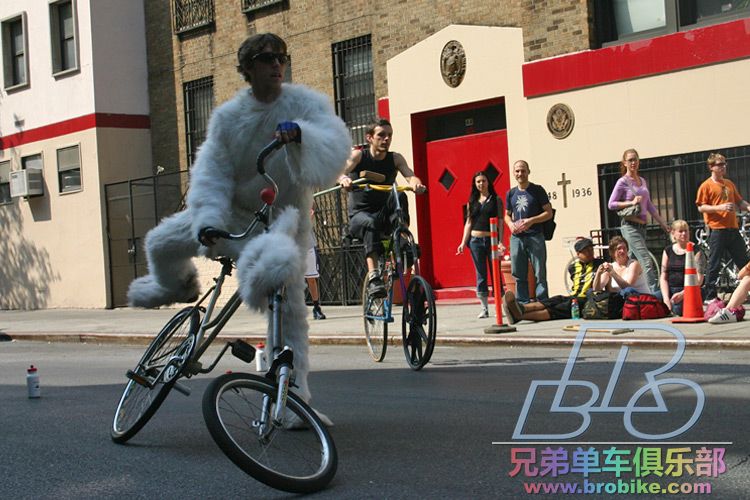 bicycle-film-festival-rabbit.jpg