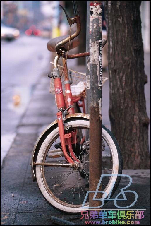 bicycle-toronto.jpg