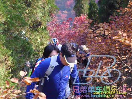 SSL24863_调整大小.JPG