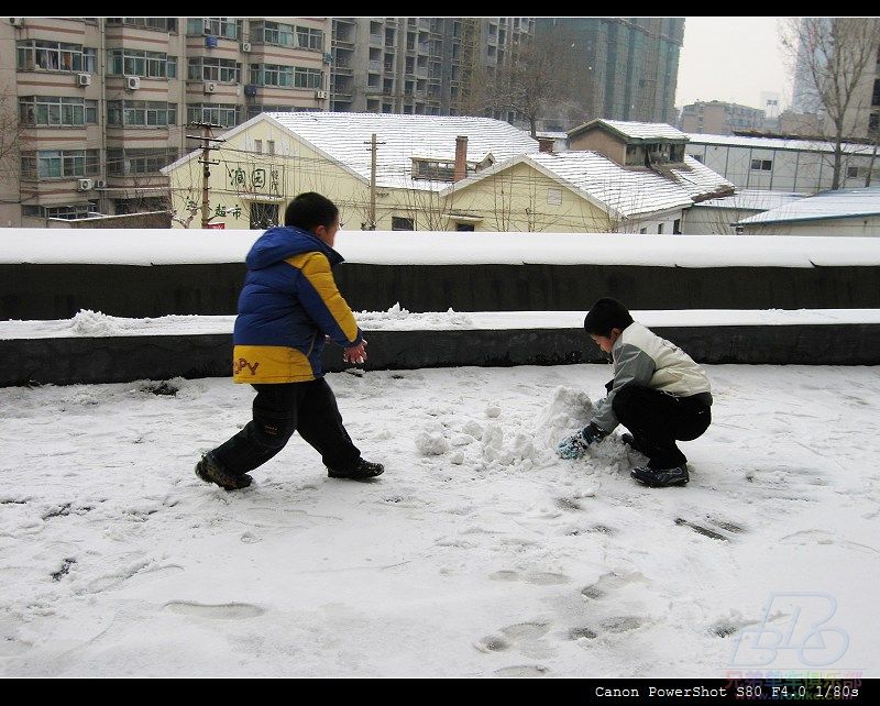 玩雪的孩子