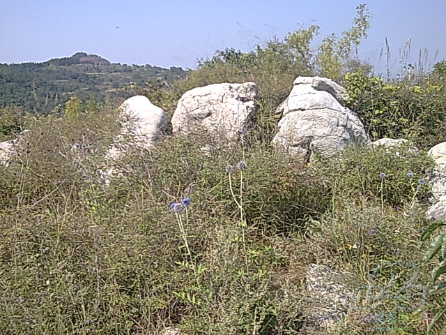 石头遍山.jpg