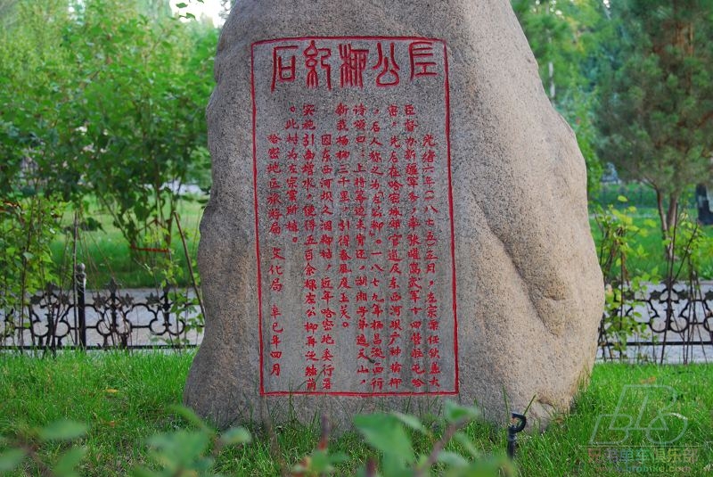 左公柳介绍.jpg