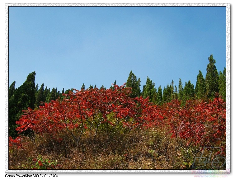 nEO_IMG_10.2雪野 038.jpg