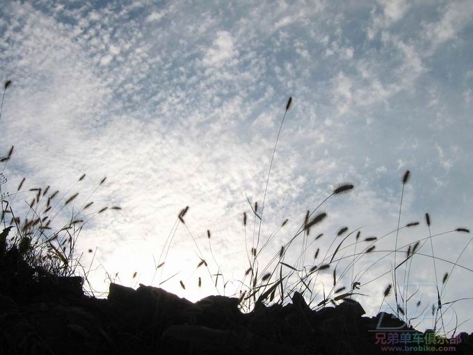 山谷中看到的天空