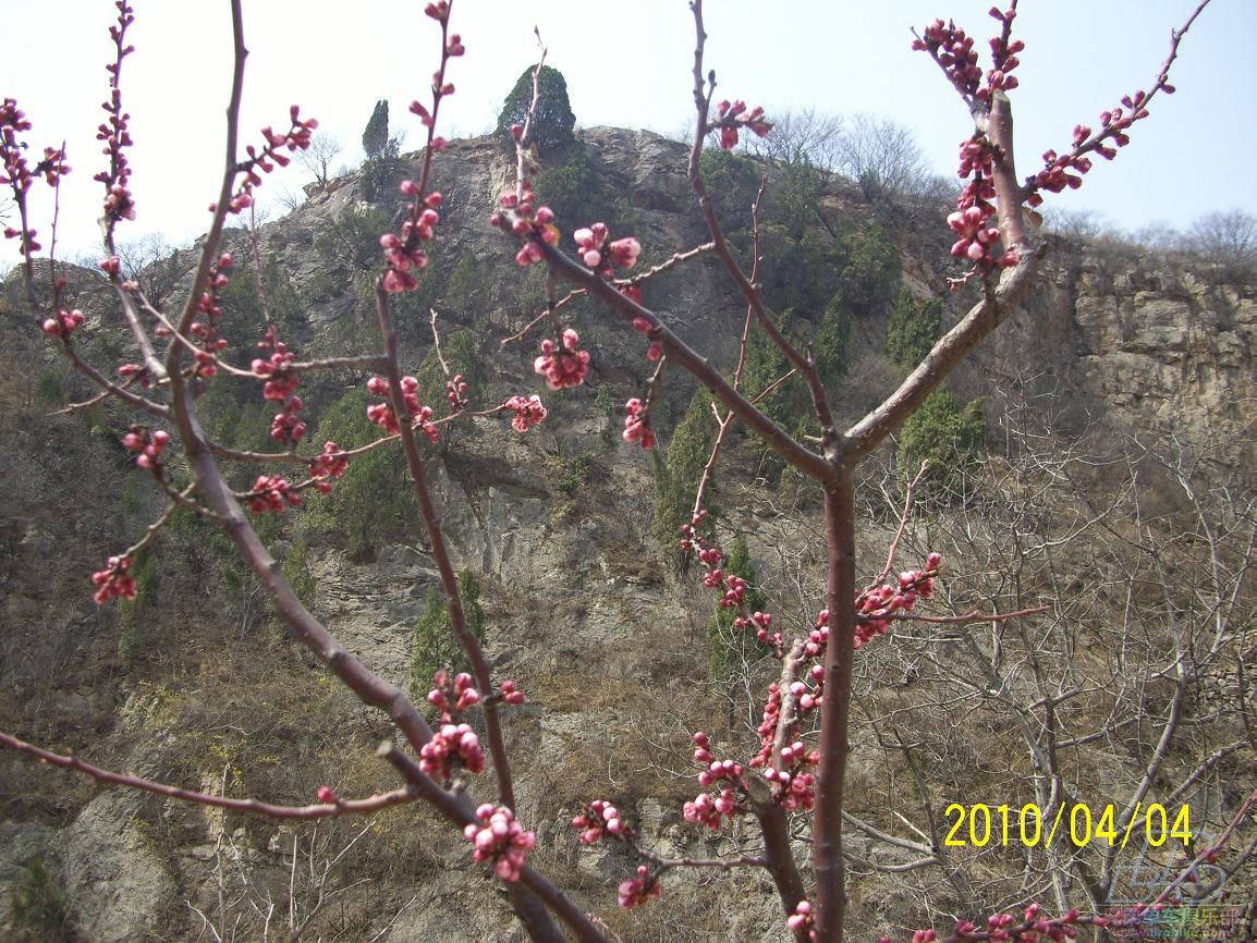 20100404 026.JPG