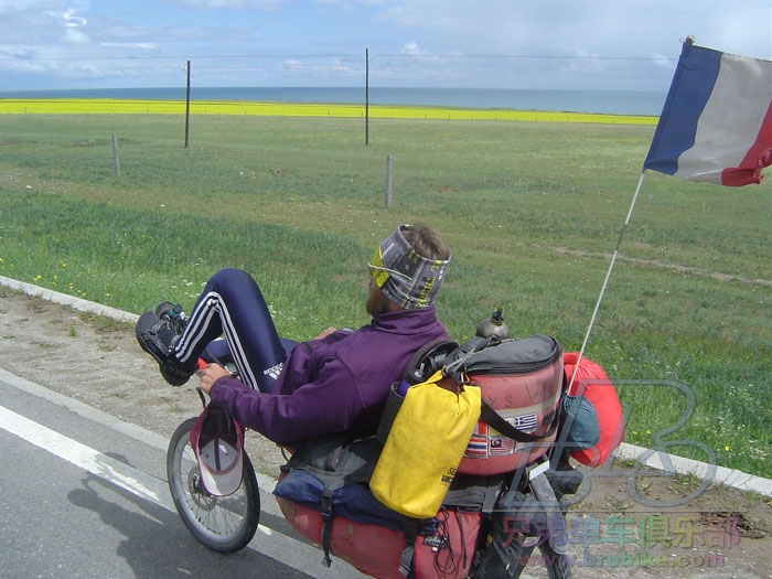 青藏公路的油菜花欢迎法国车手